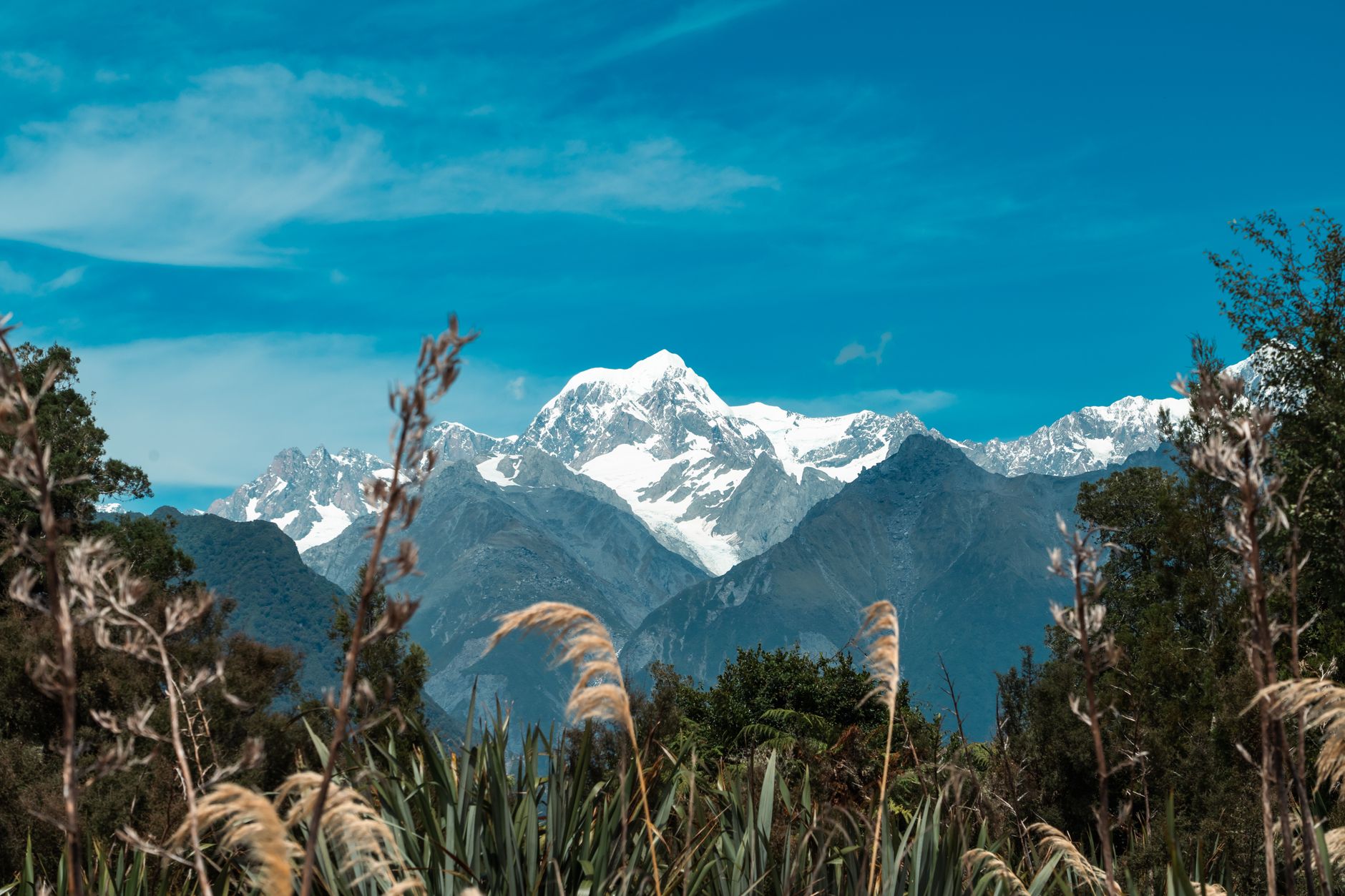A deep mountain valley in Mt Aspiring National Park New Zealand